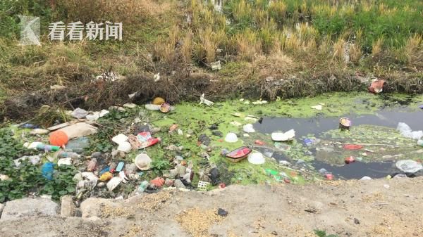 广东小镇居民暴富:从旧手机中提炼黄金 每年数吨